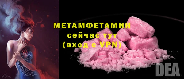 крисы Инта