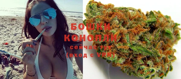 МДПВ Каменка