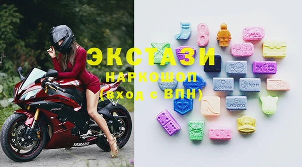 МДПВ Каменка