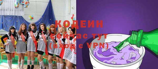 МДПВ Каменка