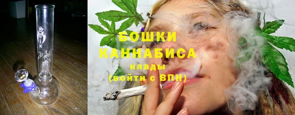 крисы Инта