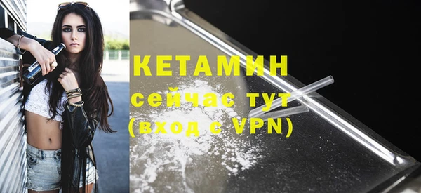 крисы Инта