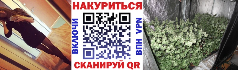 Каннабис сатива Клинцы